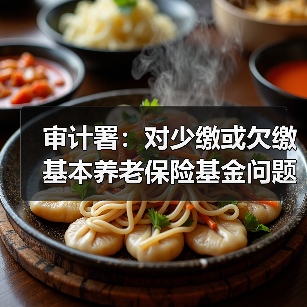 审计署：对少缴或欠缴基本养老保险基金问题，整改不宜一刀切（图1）