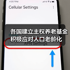 各国建立主权养老基金 积极应对人口老龄化(图3) 各国建立主权养老基金 积极应对人口老龄化(图3)