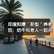印度拟建"新型"养老院:奶牛和老人一起共度晚年(图3) 印度拟建"新型"养老院:奶牛和老人一起共度晚年(图3)