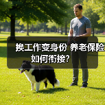 换工作变身份 养老保险如何衔接?(图1) 换工作变身份 养老保险如何衔接?(图1)