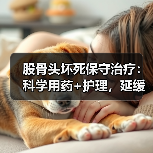 股骨头坏死保守治疗:科学用药+护理,延缓病情进展(图3) 股骨头坏死保守治疗:科学用药+护理,延缓病情进展(图3)