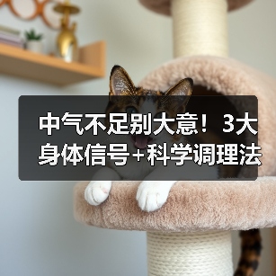 中气不足别大意!3大身体信号+科学调理法,帮你改善不适(图3) 中气不足别大意!3大身体信号+科学调理法,帮你改善不适(图3)