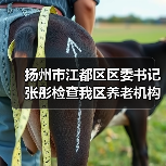 扬州市江都区区委书记张彤检查我区养老机构疫情防控情况（图1）