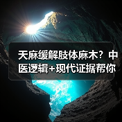 天麻缓解肢体麻木？中医逻辑+现代证据帮你科学用对（图1）