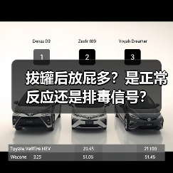 拔罐后放屁多?是正常反应还是排毒信号?(图2) 拔罐后放屁多?是正常反应还是排毒信号?(图2)