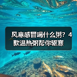 风寒感冒喝什么粥?4款温热粥帮你驱寒(图3) 风寒感冒喝什么粥?4款温热粥帮你驱寒(图3)