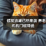 银发浪潮已然来袭 养老机构门槛降低(图1) 银发浪潮已然来袭 养老机构门槛降低(图1)