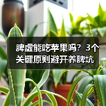 脾虚能吃苹果吗?3个关键原则避开养脾坑(图3) 脾虚能吃苹果吗?3个关键原则避开养脾坑(图3)
