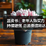 蓝皮书:老年人购买力持续增强 总消费或将达到18亿元(图1) 蓝皮书:老年人购买力持续增强 总消费或将达到18亿元(图1)