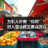 为引入外劳“松绑”?日入管法修正案成效众说纷纭(图4) 为引入外劳“松绑”?日入管法修正案成效众说纷纭(图4)