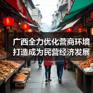 广西全力优化营商环境 打造成为民营经济发展沃土（图3）