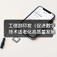 工信部印发《促进数字技术适老化高质量发展工作方案》—— 提升老年人在信息化发展中的获得感、幸福感、安全感(图3) 工信部印发《促进数字技术适老化高质量发展工作方案》—— 提升老年人在信息化发展中的获得感、幸福感、安全感(图3)
