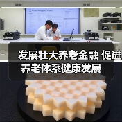 发展壮大养老金融 促进养老体系健康发展(图2) 发展壮大养老金融 促进养老体系健康发展(图2)