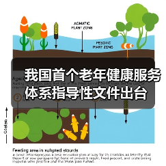 我国首个老年健康服务体系指导性文件出台(图4) 我国首个老年健康服务体系指导性文件出台(图4)