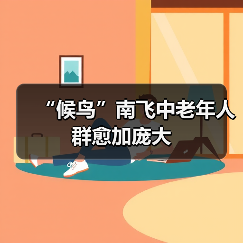 “候鸟”南飞中老年人群愈加庞大(图4) “候鸟”南飞中老年人群愈加庞大(图4)