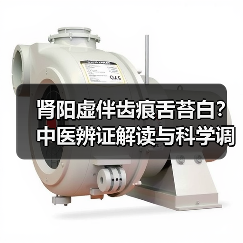 肾阳虚伴齿痕舌苔白?中医辨证解读与科学调理方案(图1) 肾阳虚伴齿痕舌苔白?中医辨证解读与科学调理方案(图1)