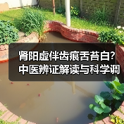 肾阳虚伴齿痕舌苔白?中医辨证解读与科学调理方案(图3) 肾阳虚伴齿痕舌苔白?中医辨证解读与科学调理方案(图3)