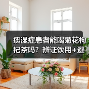 痰湿症患者能喝菊花枸杞茶吗?辨证饮用+避坑指南(图4) 痰湿症患者能喝菊花枸杞茶吗?辨证饮用+避坑指南(图4)