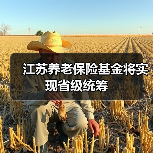 江苏养老保险基金将实现省级统筹（图1）