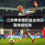 江苏养老保险基金将实现省级统筹（图4）
