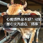 心胸烦热总不好?可能是心火亢盛在“搞事”(图1) 心胸烦热总不好?可能是心火亢盛在“搞事”(图1)