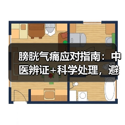 膀胱气痛应对指南:中医辨证+科学处理,避开急症风险(图3) 膀胱气痛应对指南:中医辨证+科学处理,避开急症风险(图3)