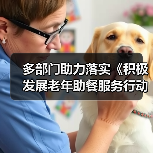 多部门助力落实《积极发展老年助餐服务行动方案》(图2) 多部门助力落实《积极发展老年助餐服务行动方案》(图2)
