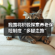 我国将积极探索养老保险制度“多腿走路”（图1）