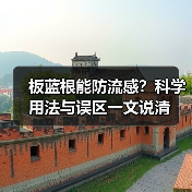 板蓝根能防流感?科学用法与误区一文说清(图1) 板蓝根能防流感?科学用法与误区一文说清(图1)