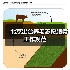 北京出台养老志愿服务工作规范（图4）