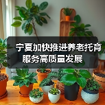 宁夏加快推进养老托育服务高质量发展(图3) 宁夏加快推进养老托育服务高质量发展(图3)