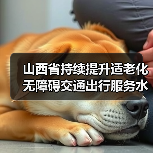 山西省持续提升适老化无障碍交通出行服务水平(图4) 山西省持续提升适老化无障碍交通出行服务水平(图4)