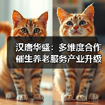 汉唐华盛：多维度合作催生养老服务产业升级（图2）