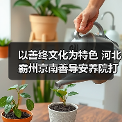 以善终文化为特色 河北霸州京南善导安养院打造环京津临终关怀基地（图1）