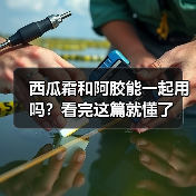 西瓜霜和阿胶能一起用吗？看完这篇就懂了（图3）