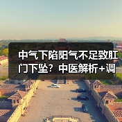 中气下陷阳气不足致肛门下坠?中医解析+调理方案(图4) 中气下陷阳气不足致肛门下坠?中医解析+调理方案(图4)