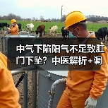 中气下陷阳气不足致肛门下坠?中医解析+调理方案(图3) 中气下陷阳气不足致肛门下坠?中医解析+调理方案(图3)