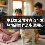 牛膝怎么用才有效?生熟炮制差异及中医用药指南(图1) 牛膝怎么用才有效?生熟炮制差异及中医用药指南(图1)