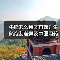 牛膝怎么用才有效?生熟炮制差异及中医用药指南(图4) 牛膝怎么用才有效?生熟炮制差异及中医用药指南(图4)