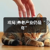 观局|养老产业仍是“少年”(图1) 观局|养老产业仍是“少年”(图1)
