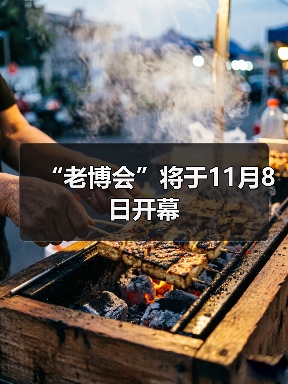 “老博会”将于11月8日开幕（图3）