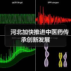 河北加快推进中医药传承创新发展(图1) 河北加快推进中医药传承创新发展(图1)