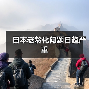 日本老龄化问题日趋严重（图4）