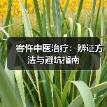 客忤中医治疗:辨证方法与避坑指南(图2) 客忤中医治疗:辨证方法与避坑指南(图2)