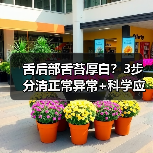 舌后部舌苔厚白?3步分清正常异常+科学应对指南(图2) 舌后部舌苔厚白?3步分清正常异常+科学应对指南(图2)