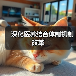 深化医养结合体制机制改革(图2) 深化医养结合体制机制改革(图2)