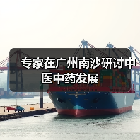 专家在广州南沙研讨中医中药发展（图4）