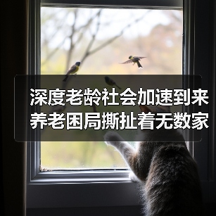 深度老龄社会加速到来 养老困局撕扯着无数家庭（图2）