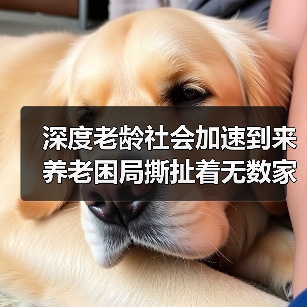 深度老龄社会加速到来 养老困局撕扯着无数家庭（图4）