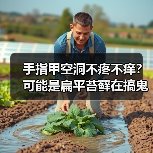 手指甲空洞不疼不痒?可能是扁平苔藓在搞鬼(图2) 手指甲空洞不疼不痒?可能是扁平苔藓在搞鬼(图2)